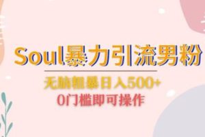 Soul暴力引流男粉玩法，无脑粗暴日入500＋，0门槛即可操作【揭秘】