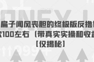 让马扁子闻风丧胆的终极版反撸教程，一次100左右（带真实实操和收益图）【仅揭秘】