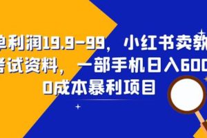 一单利润19.9-99，小红书卖教资考试资料，一部手机日入600（揭秘）