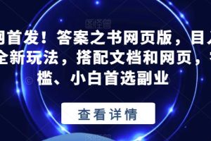 全网首发！答案之书网页版，日入2K，全新玩法，搭配文档和网页，零门槛、小白首选副业【揭秘】