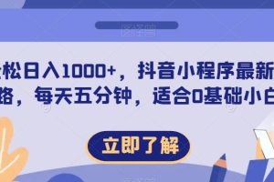 轻松日入1000+，抖音小程序最新思路，每天五分钟，适合0基础小白【揭秘】