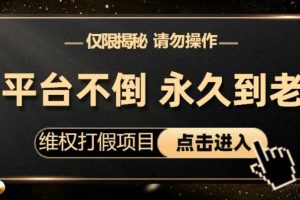 维权打假项目，电商平台不倒，项目长久到老，零投入，高回报，日入1000+（仅揭秘，勿操作）