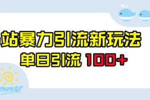 B站暴力引流新玩法，单日引流100+【揭秘】