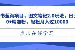 小红书蓝海项目，图文笔记2.0玩法，日引100+精准粉，轻松月入过10000【揭秘】