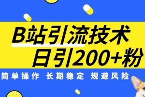 B站引流技术：每天引流200精准粉，简单操作，长期稳定，规避风险