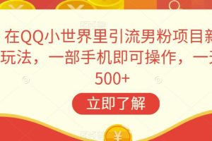 在QQ小世界里引流男粉项目新玩法，一部手机即可操作，一天500+【揭秘】