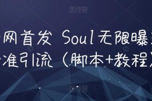 全网首发 Soul无限曝光精准引流（脚本+教程）