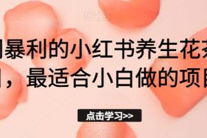 冷门暴利的小红书养生花茶项目，最适合小白做的项目【揭秘】