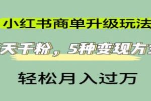 《小红书商单升级玩法》5天千粉，5种变现渠道