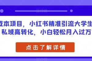 0成本项目，小红书精准引流大学生，私域高转化，小白轻松月入过万【揭秘】