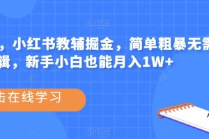 热门蓝海，小红书教辅掘金，简单粗暴无需剪辑，新手小白也能月入1W+【揭秘】