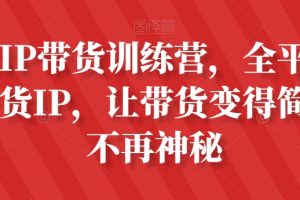 素人IP带货训练营，全平台最强带货IP，让带货变得简单、不再神秘