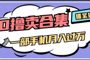 0撸项目月入过万，售卖全套ai工具合集，一单29.9元，一部手机即可【揭秘】