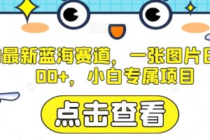 AI最新蓝海赛道，一张图片日入300+，小白专属项目【揭秘】