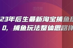 2023年后生最新淘宝捕鱼玩法2.0，捕鱼玩法整体思路详解