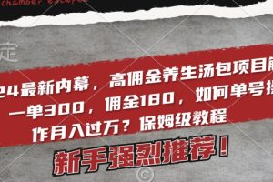 2024最新内幕，高佣金养生汤包项目解密，一单300，佣金180，如何单号操作月入过万？保姆级教程【揭秘】