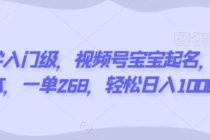 玄学入门级，视频号宝宝起名，0成本，一单268，轻松日入1000+【揭秘】