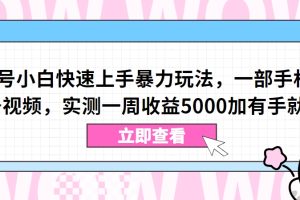 视频号小白快速上手暴力玩法，一部手机，一条视频，实测一周收益5000加有手就行【揭秘】