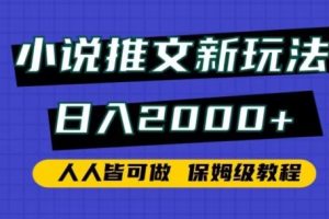 小说推文新玩法，日入2000+，人人皆可做，保姆级教程【揭秘】