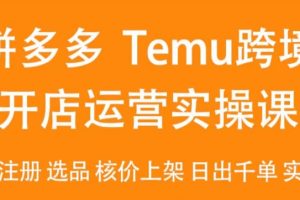 2024Temu最新玩法，Temu跨境开店运营实操课，开店注册/选品/核价上架/日出千单实战课