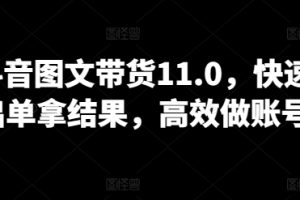 抖音图文带货11.0，快速出单拿结果，高效做账号