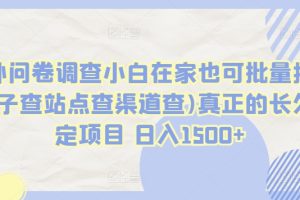 国外问卷调查小白在家也可批量操作(口子查站点查渠道查)真正的长久稳定项目 日入1500+【揭秘】