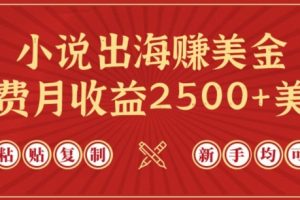 小说出海赚美金，稿费月收益2500+美金，仅需chatgpt粘贴复制，新手也能玩转【揭秘】