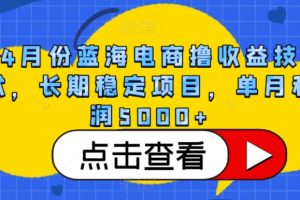 4月份蓝海电商撸收益技术，长期稳定项目，单月利润5000+【揭秘】