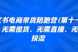 小红书电商带货陪跑营(第十一期)，无需囤货、无需直播、无需投流