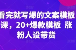 看完就写爆的文案模板课，20+爆款模板 涨粉人设带货