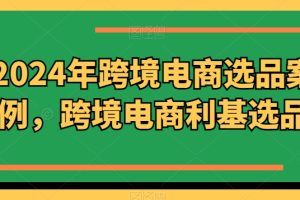 2024年跨境电商选品案例，跨境电商利基选品(更新）