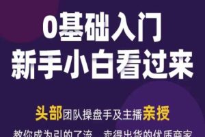 2024年视频号新媒体流量变现运营笔记，教你成为引的了流，卖得出货的优质商家