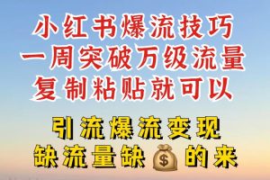 小红书爆流技巧，一周突破万级流量，复制粘贴就可以，引流爆流变现【揭秘】