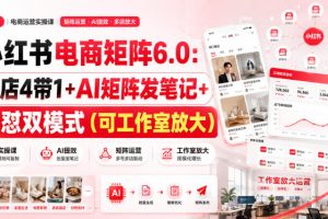 小红书电商矩阵6.0:单店4带1+AI矩阵发笔记+测怼双模式(可工作室放大)