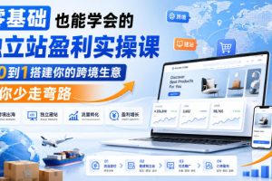 零基础也能学会的独立站盈利实操课，从0到1搭建你的跨境生意，帮你少走弯路